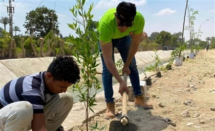 Presidential Campaign to Plant 100 Million Trees in Egypt by 2030