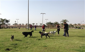 9 Places You Didn't Know You Could Take Your Dog in Cairo