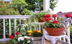 Intro to Gardening Class to Make Balconies Bloom