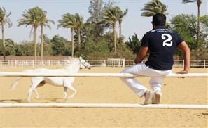 Mohamed Fahim: Egypt's Hope for Polo