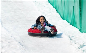 Ice Kingdom To Open at Sun City