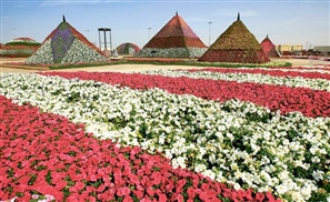 Dubai's Miracle Garden