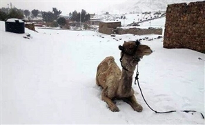 Egypt's Meteorological Head Expects More Snow this Winter
