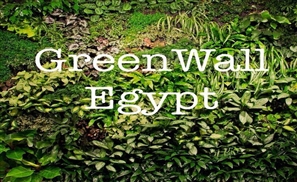 GreenWalls Egypt: Breathing Life Into Living Spaces