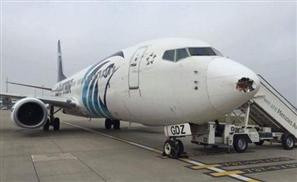 EgyptAir Plane Collides With Bird at London Heathrow Airport, Delaying Flight