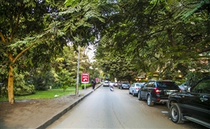 Are Authorities Shutting Down Cafes on Maadi's Road 9?