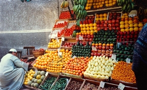 Russia Lifts Ban on Egyptian Fruit and Vegetable Imports